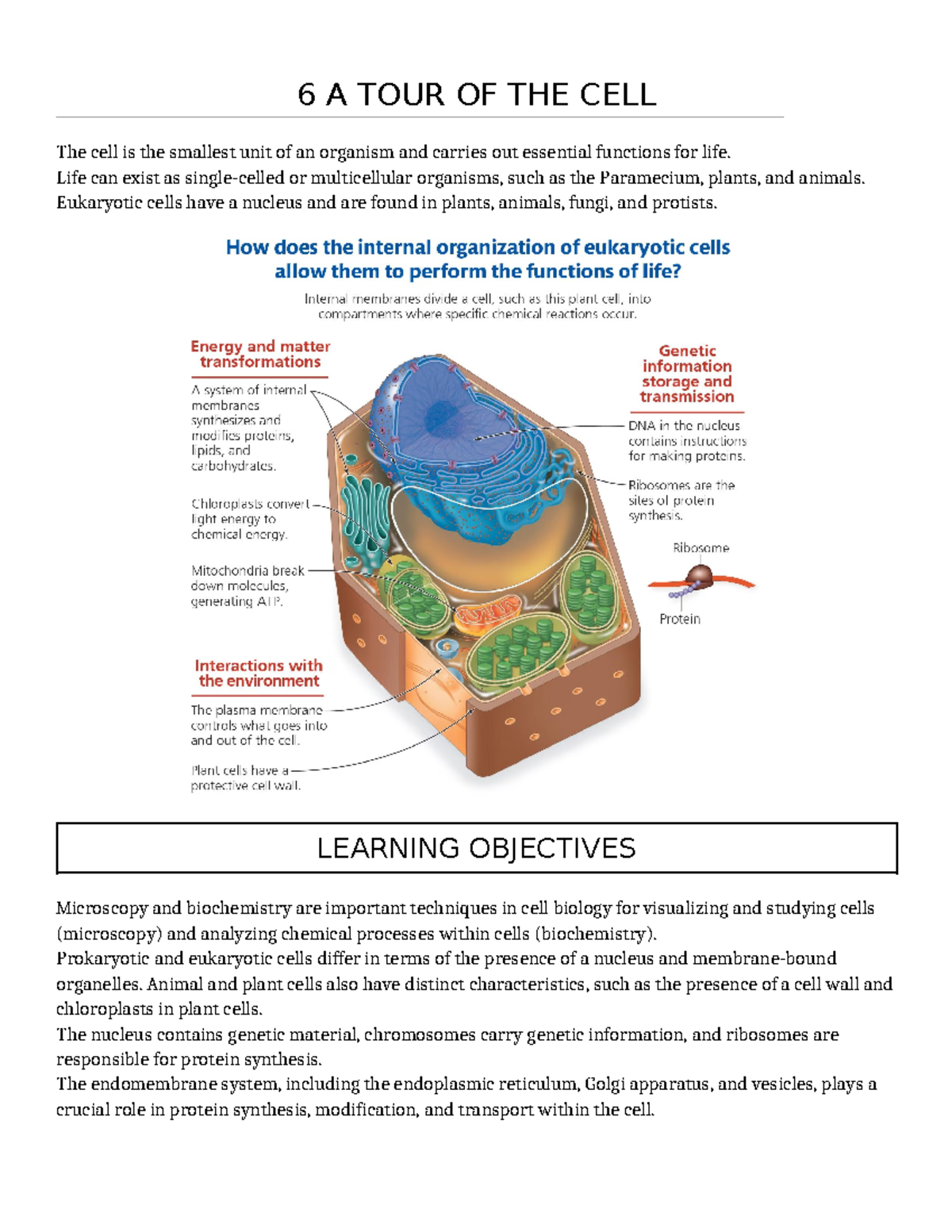 Eukaryotic Cell Structure and Function Overview: REF 605C Final Notes ...