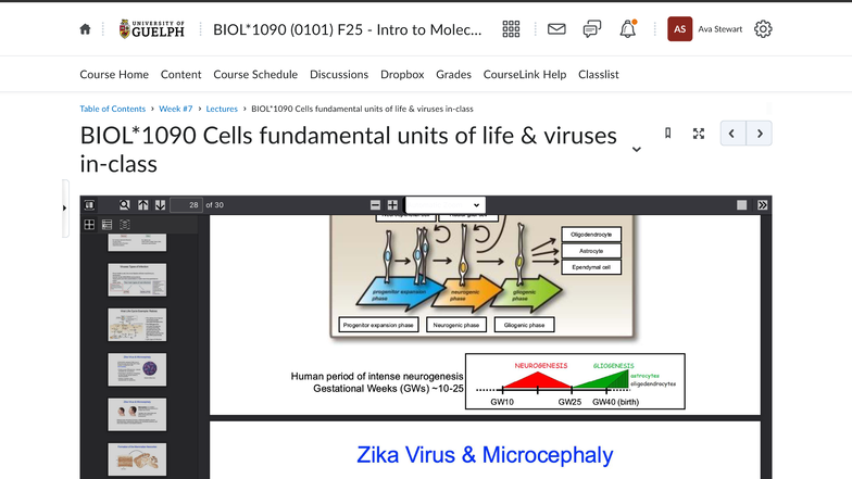 BIOL*1090 (0101) F25 In-Class Notes: Cells & Viruses - Studocu