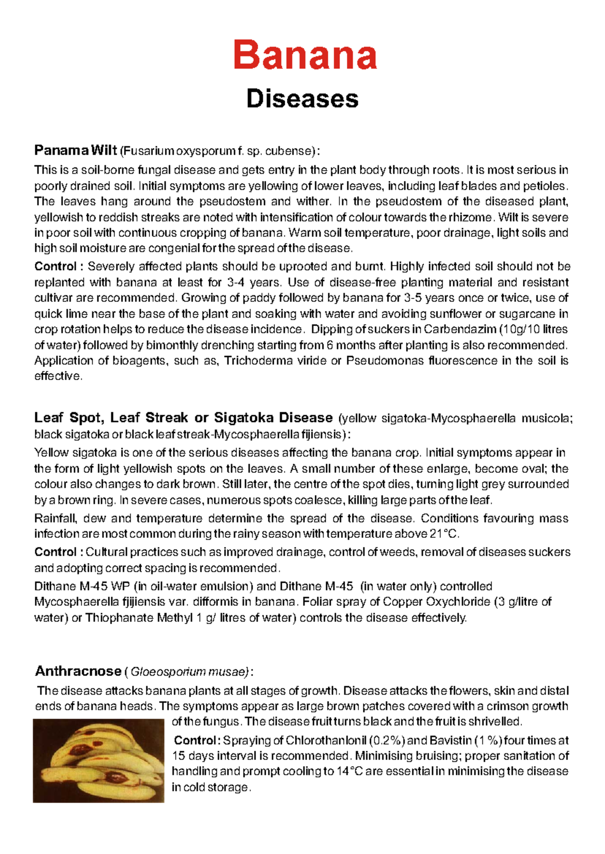 Banana Diseases Overview: Panama Wilt & Other Fungal Issues - Studocu