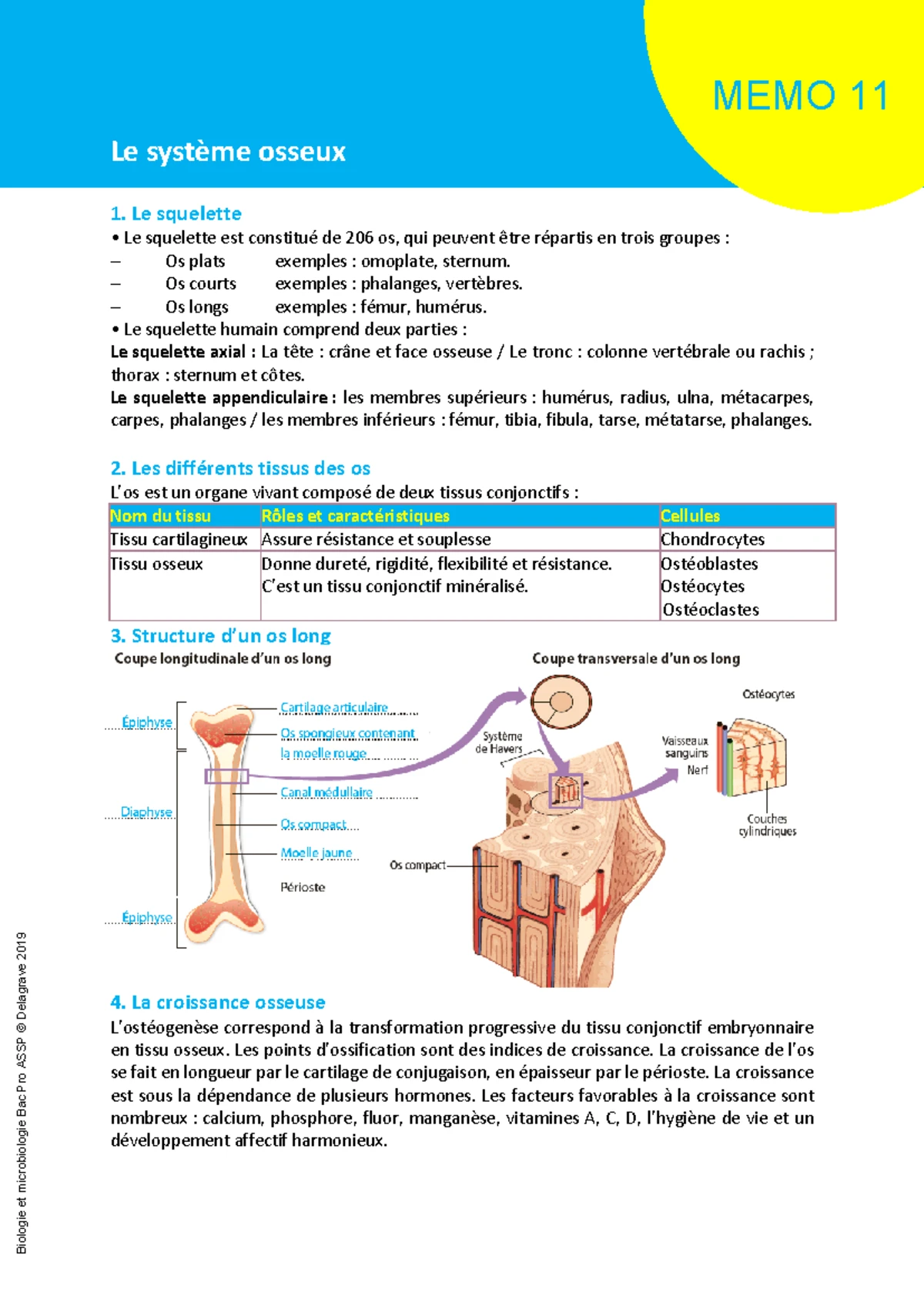 Description - dsf