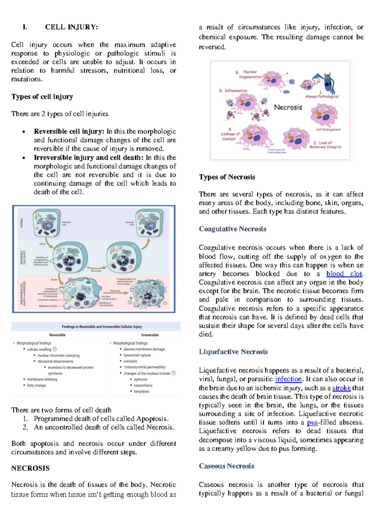 Unit III Bioscience - Cell Injury, Necrosis, and Apoptosis Notes - Studocu