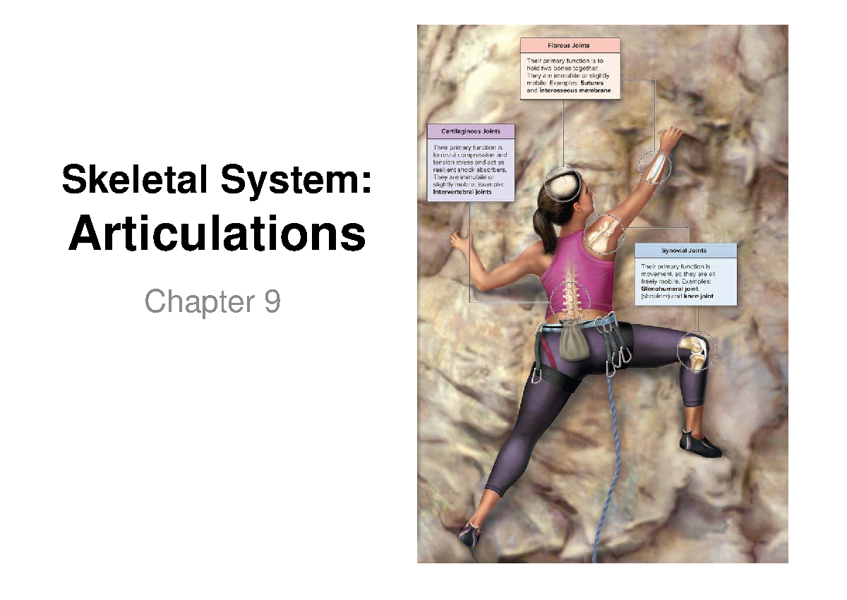 CH 9 Lecture Notes: Skeletal System - Joints and Articulations - Studocu