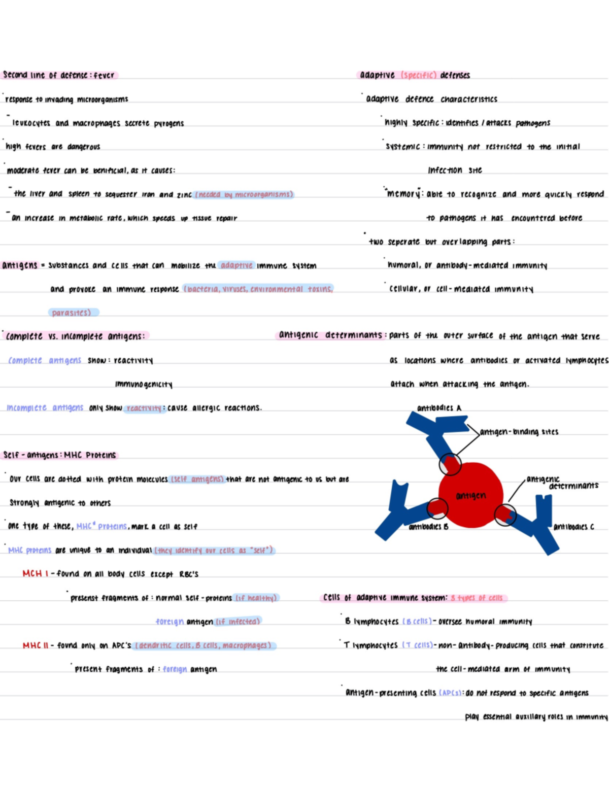 Immune System Defense Mechanisms: Lecture Notes (BIO 101) - Studocu