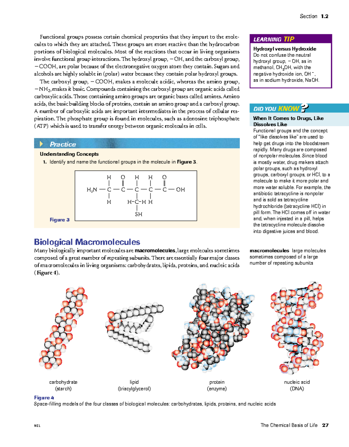 U1L5 Homework - Understanding Functional Groups and Macromolecules ...