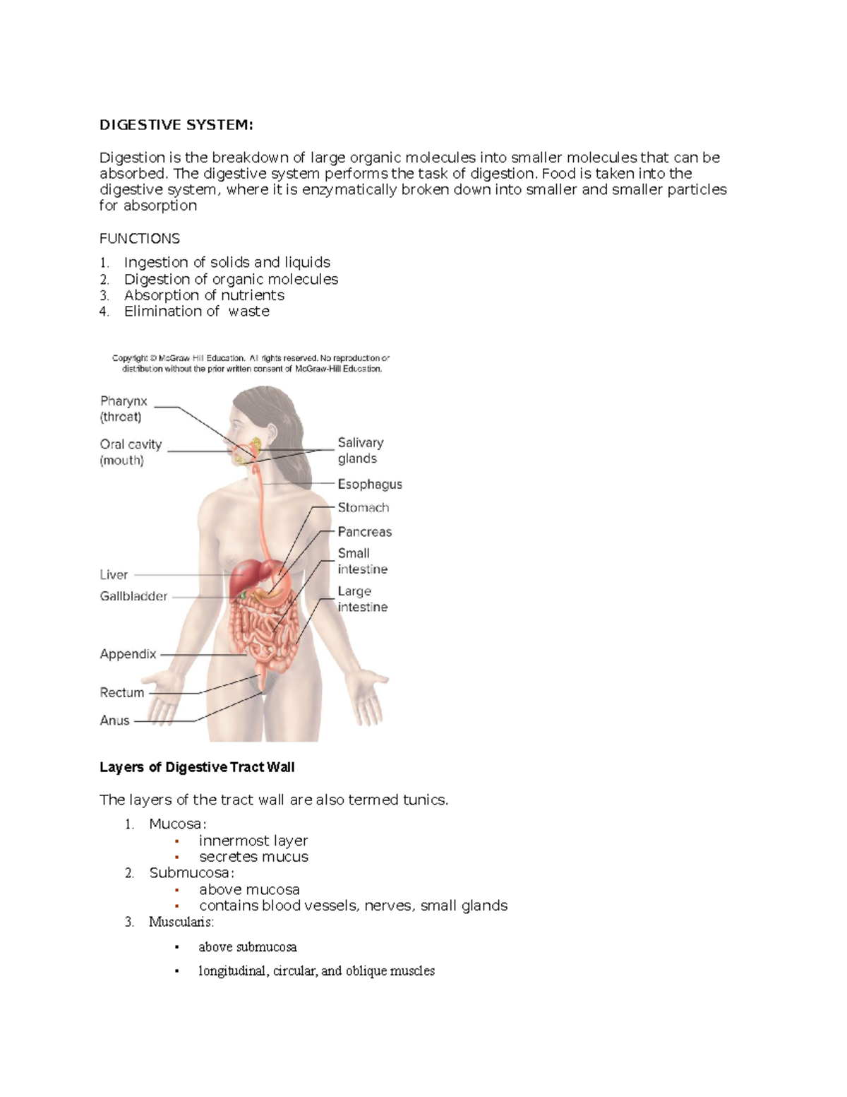Digestive- System - reviewer - DIGESTIVE SYSTEM: Digestion is the ...
