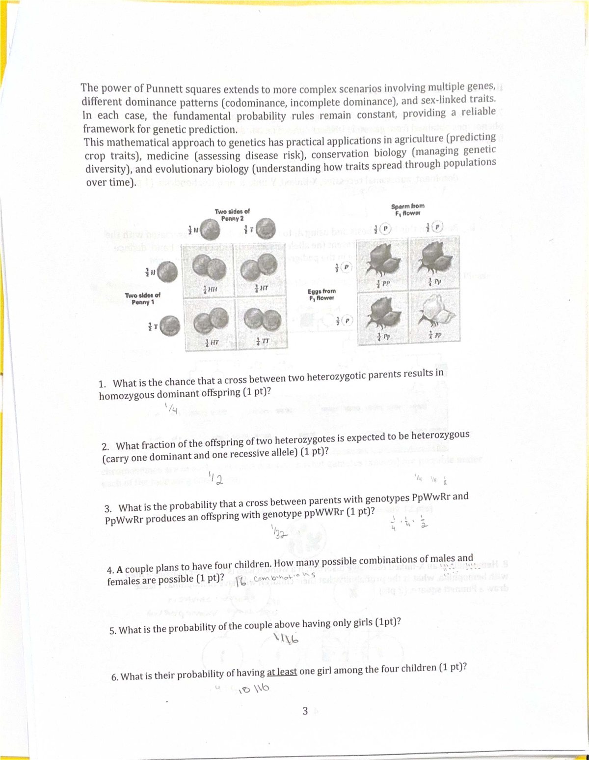 Genetics Probability Problems: Project 3 (Stat Gametes) - Studocu