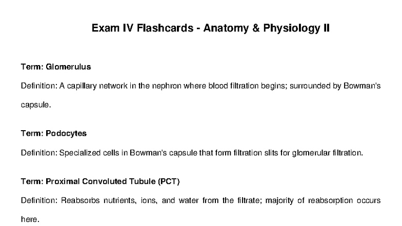Exam IV Quizlet Flashcards for Anatomy & Physiology II - Studocu