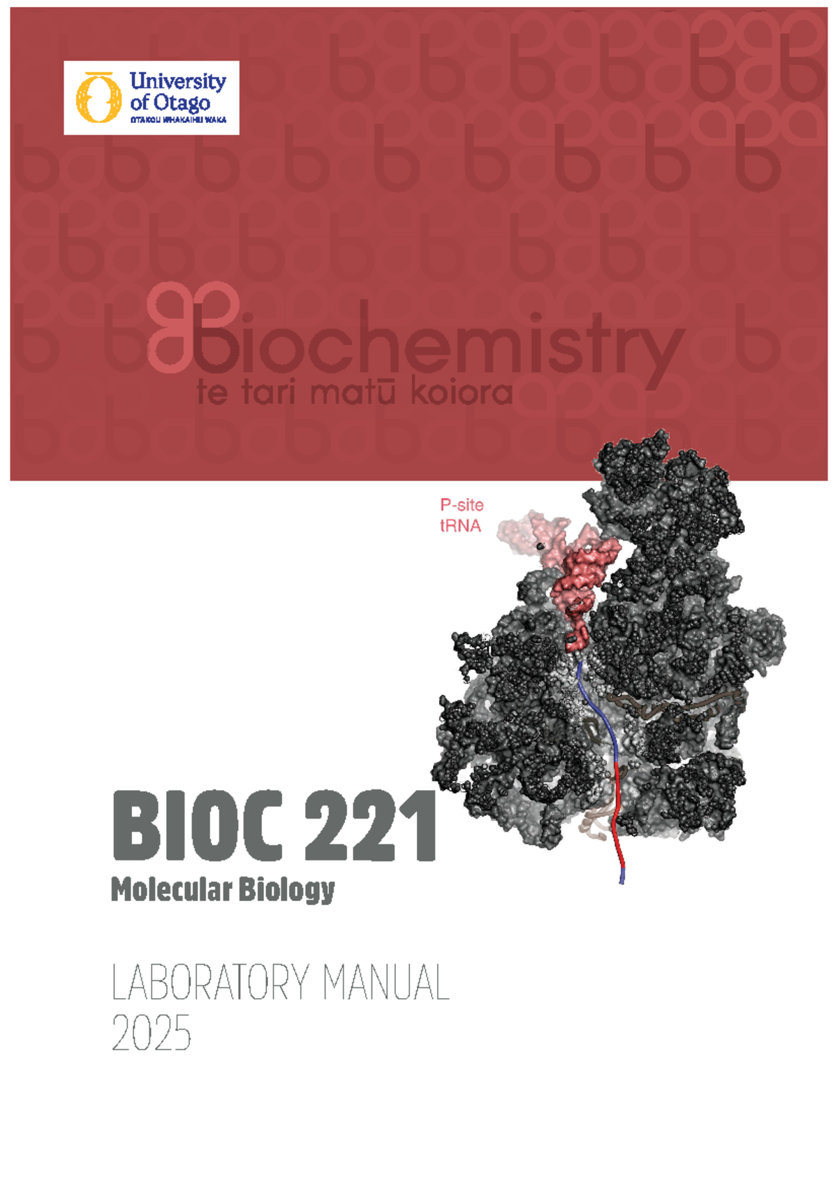 BIOC221 2025 Lab Manual - BIOC 221 Molecular Biology LABORATORY MANUAL ...