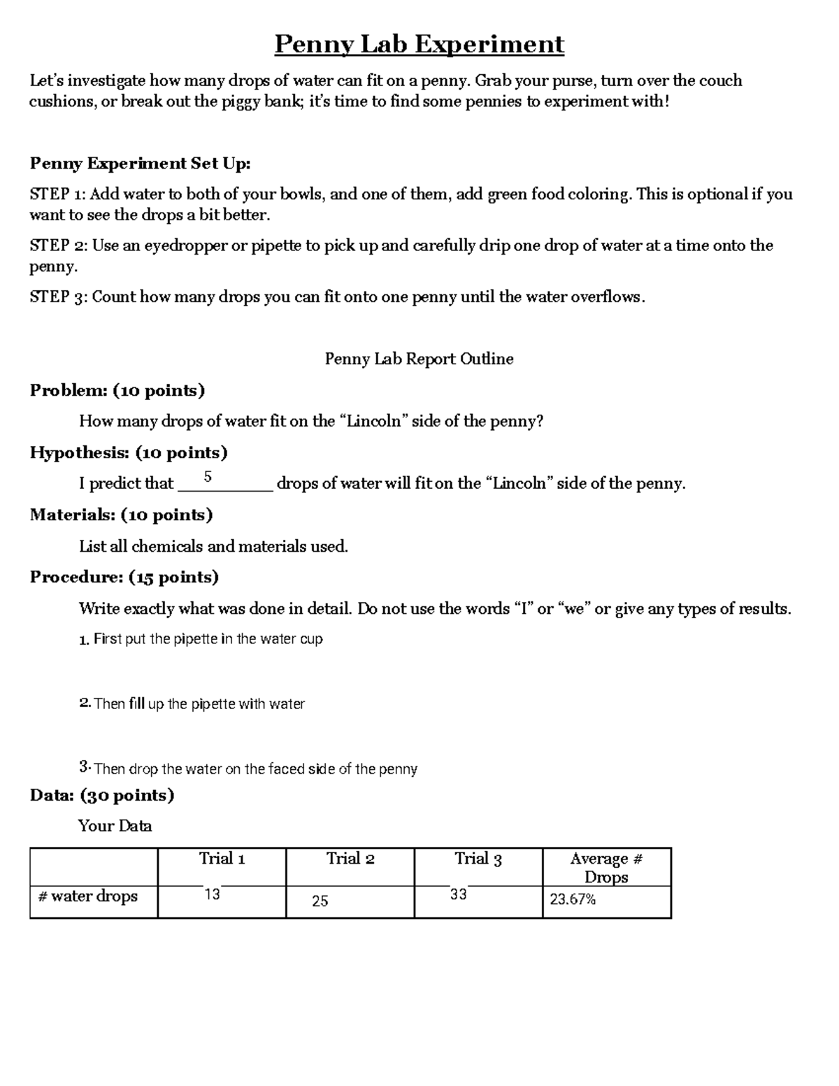 Kami Export - Leonardo Gongora - Chem Report Outline - Penny Lab ...