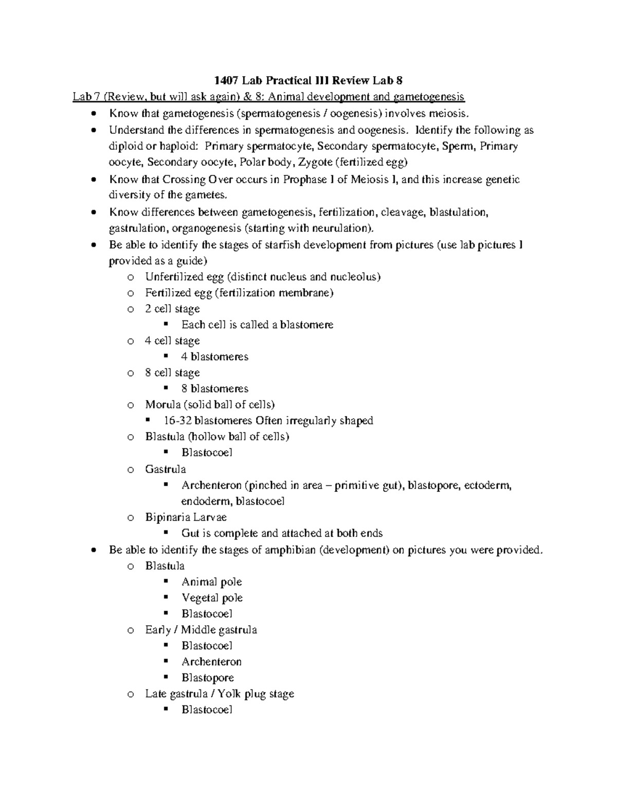 Lab Practical III Review: Animal Development & Gametogenesis (Bio 1407 ...