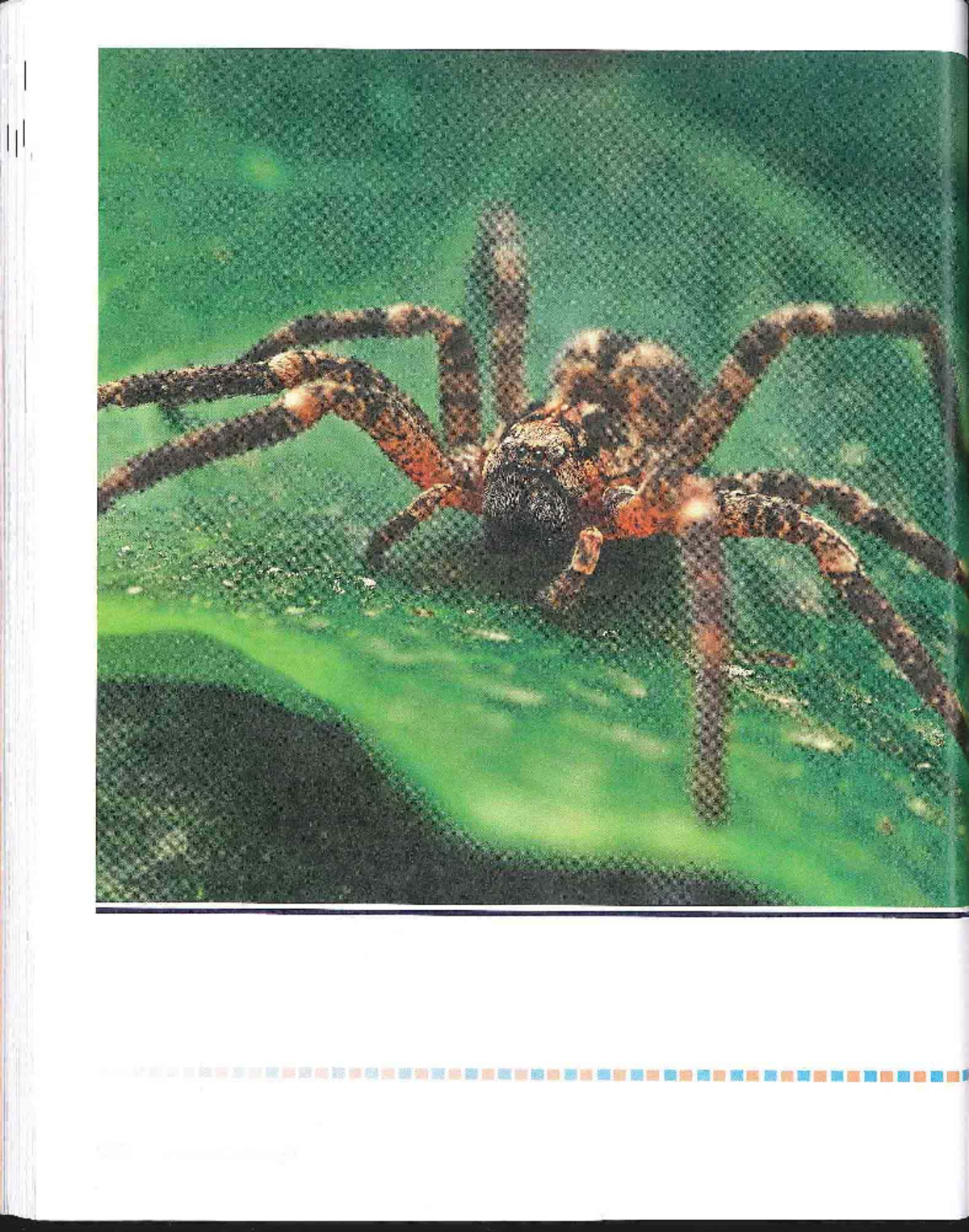 Unit 5: Understanding Phobias and Overcoming Fear - Studocu