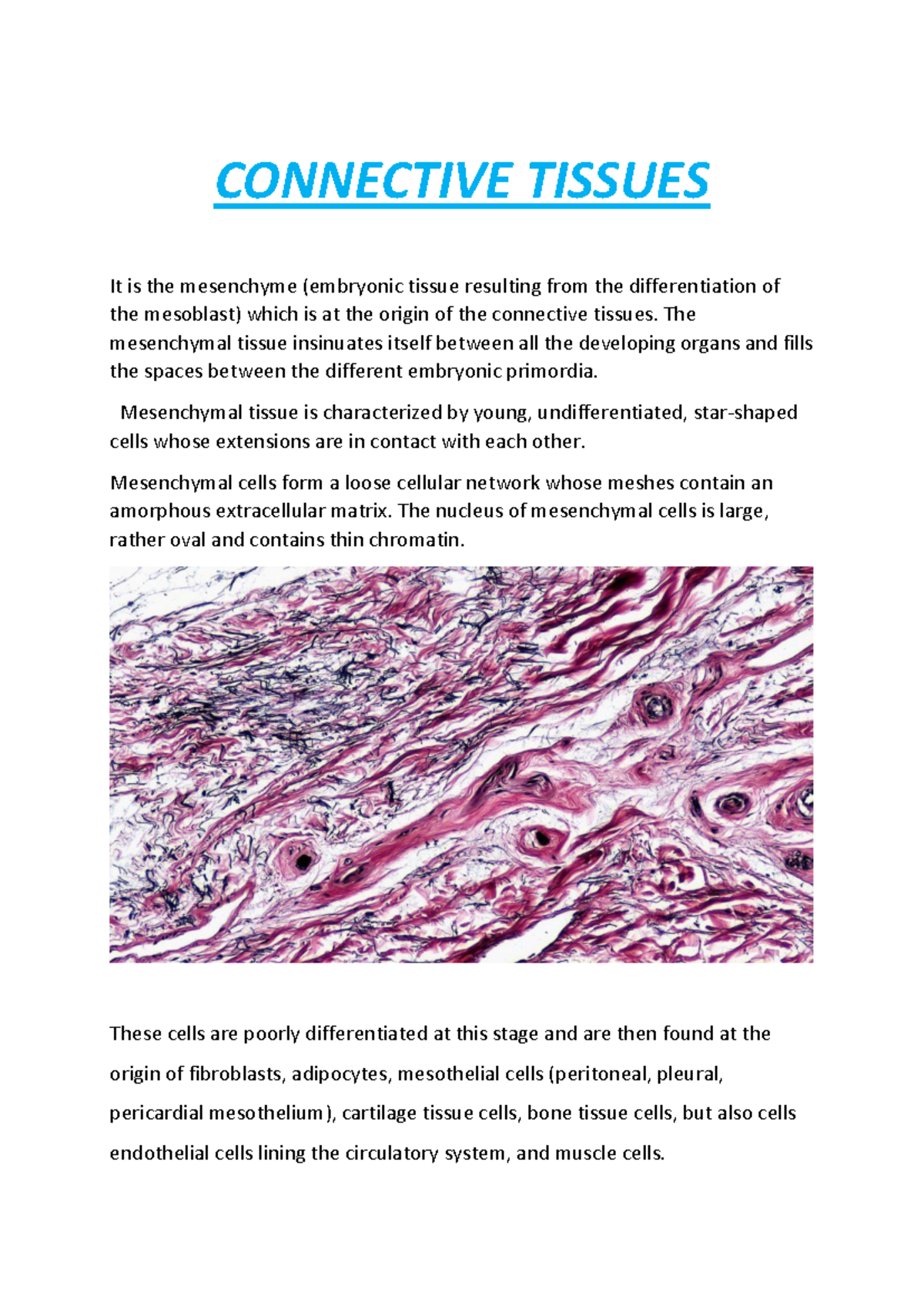 Connective Tissues: Understanding Structure and Function in Biology ...