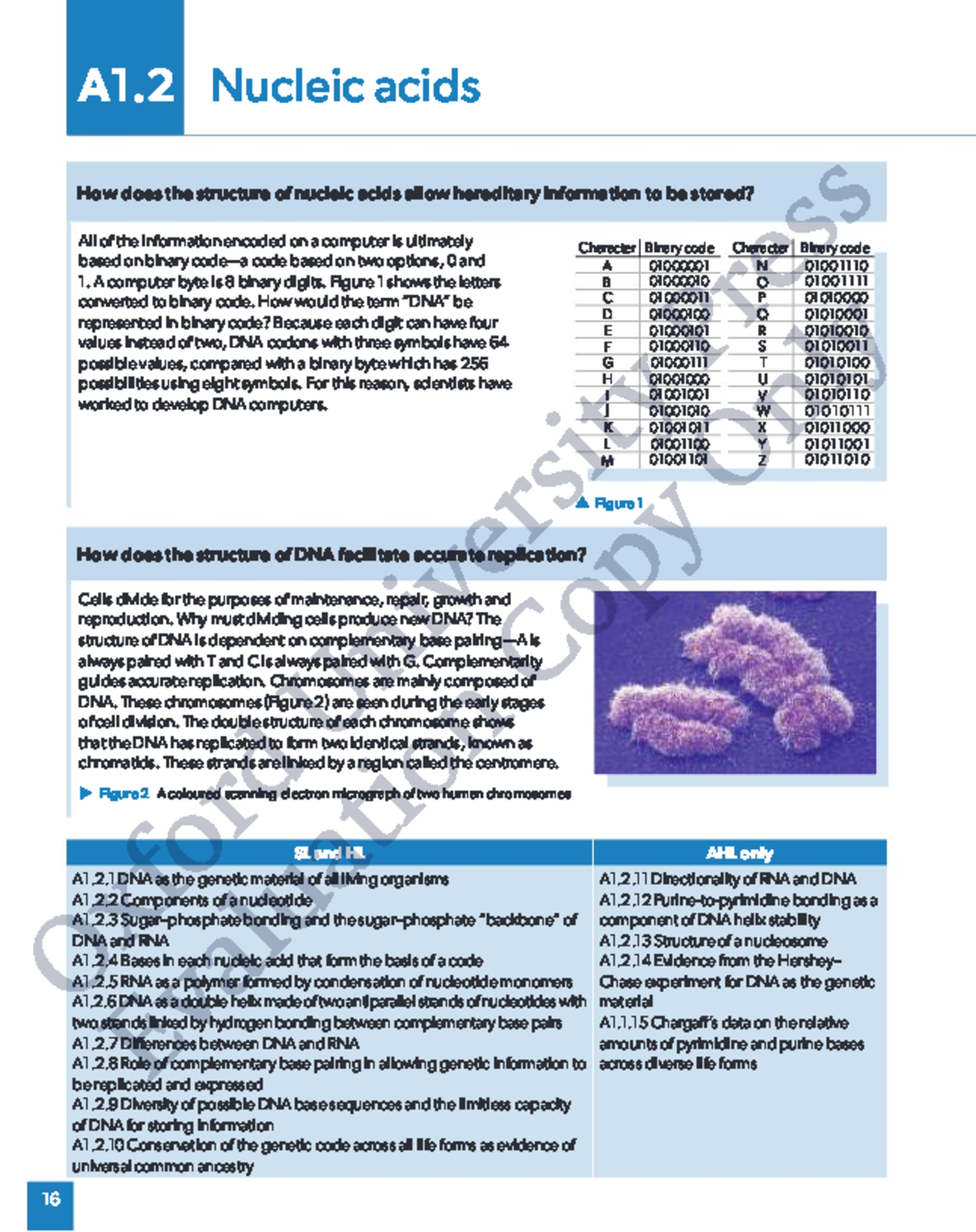 A1.2 Nucleic Acids: Structure and Function in Hereditary Information ...