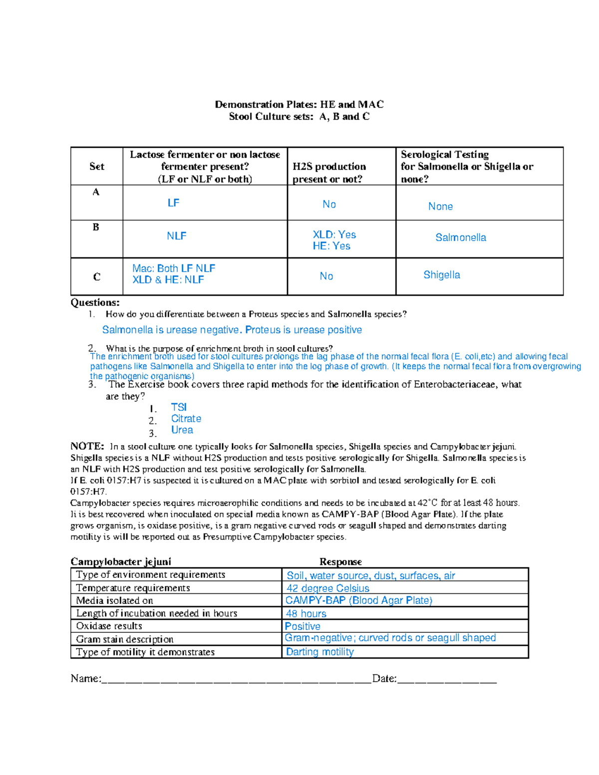 Stool Culture Demonstration Plate Worksheet: HE & MAC Analysis - Studocu