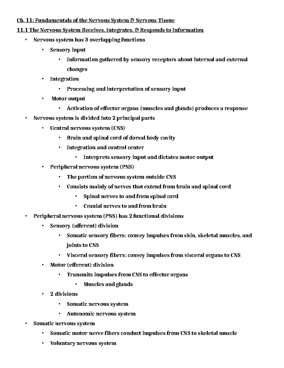 Ch. 11: Nervous System Fundamentals - Lecture Notes - Studocu