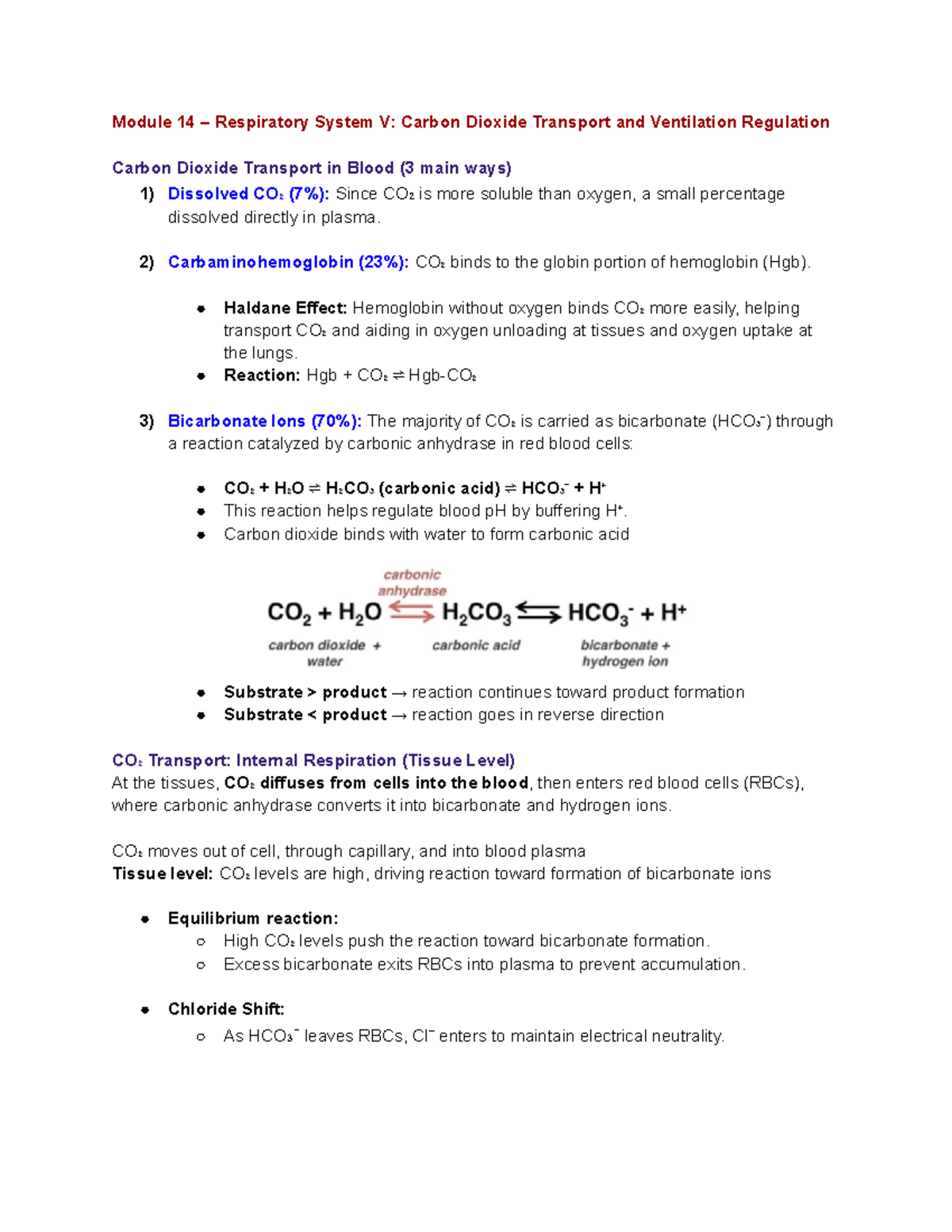 Modules 14-16 Notes - Module 14 – Respiratory System V: Carbon Dioxide ...