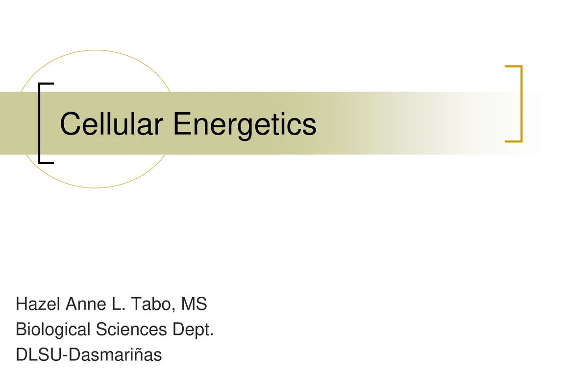 Cellular Transport Mechanisms: Understanding Membrane Dynamics and ...
