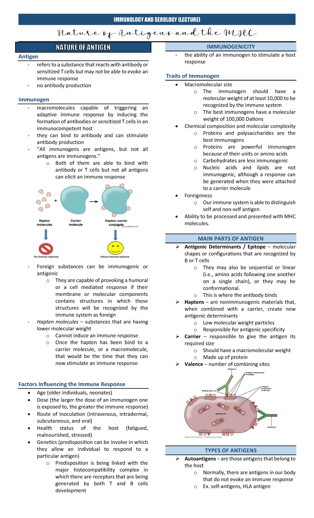 IMMUNOLOGY AND SEROLOGY (LECTURE) - Nature of Antigens & MHC - Studocu