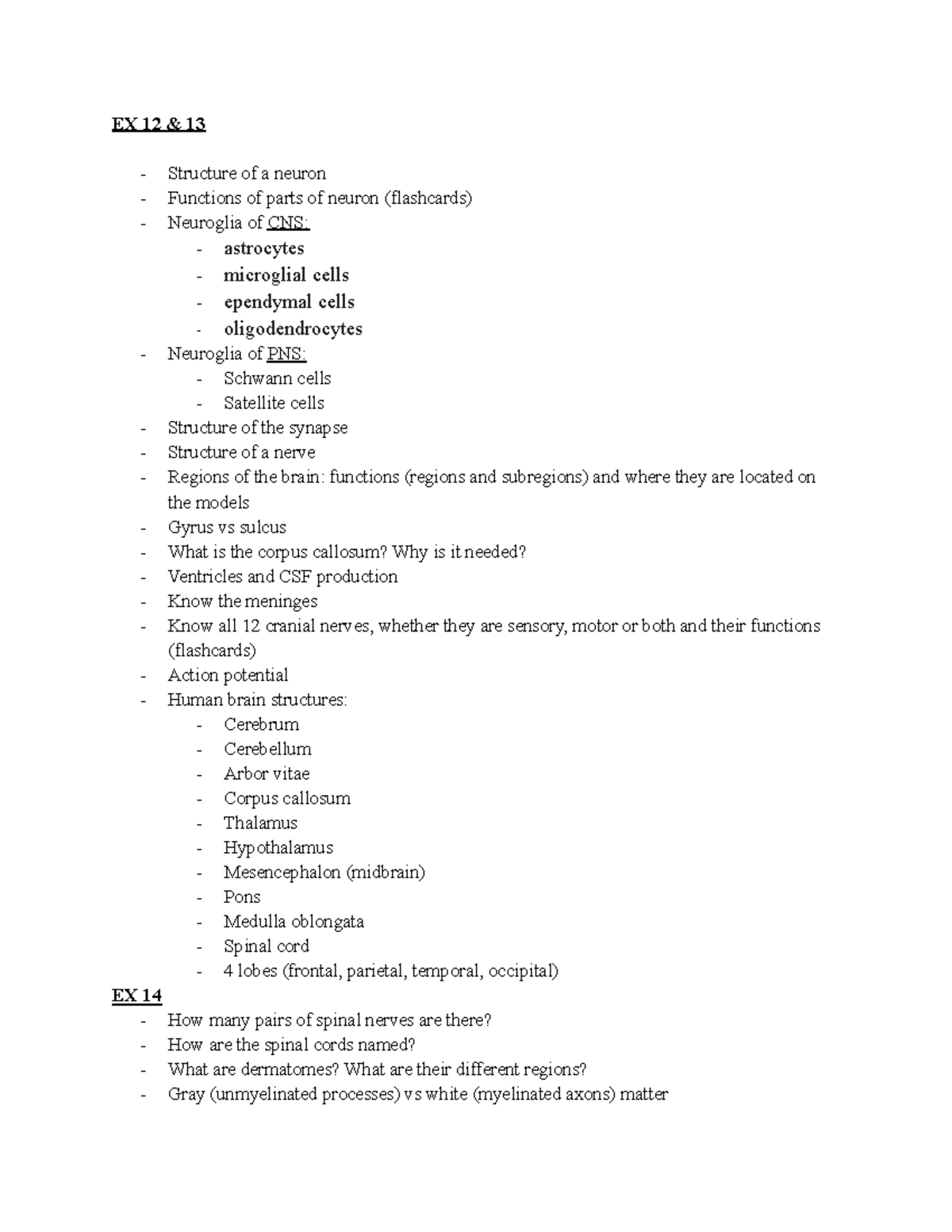 Lab practical 3 study guide -2 - EX 12 & 13 Structure of a neuron ...