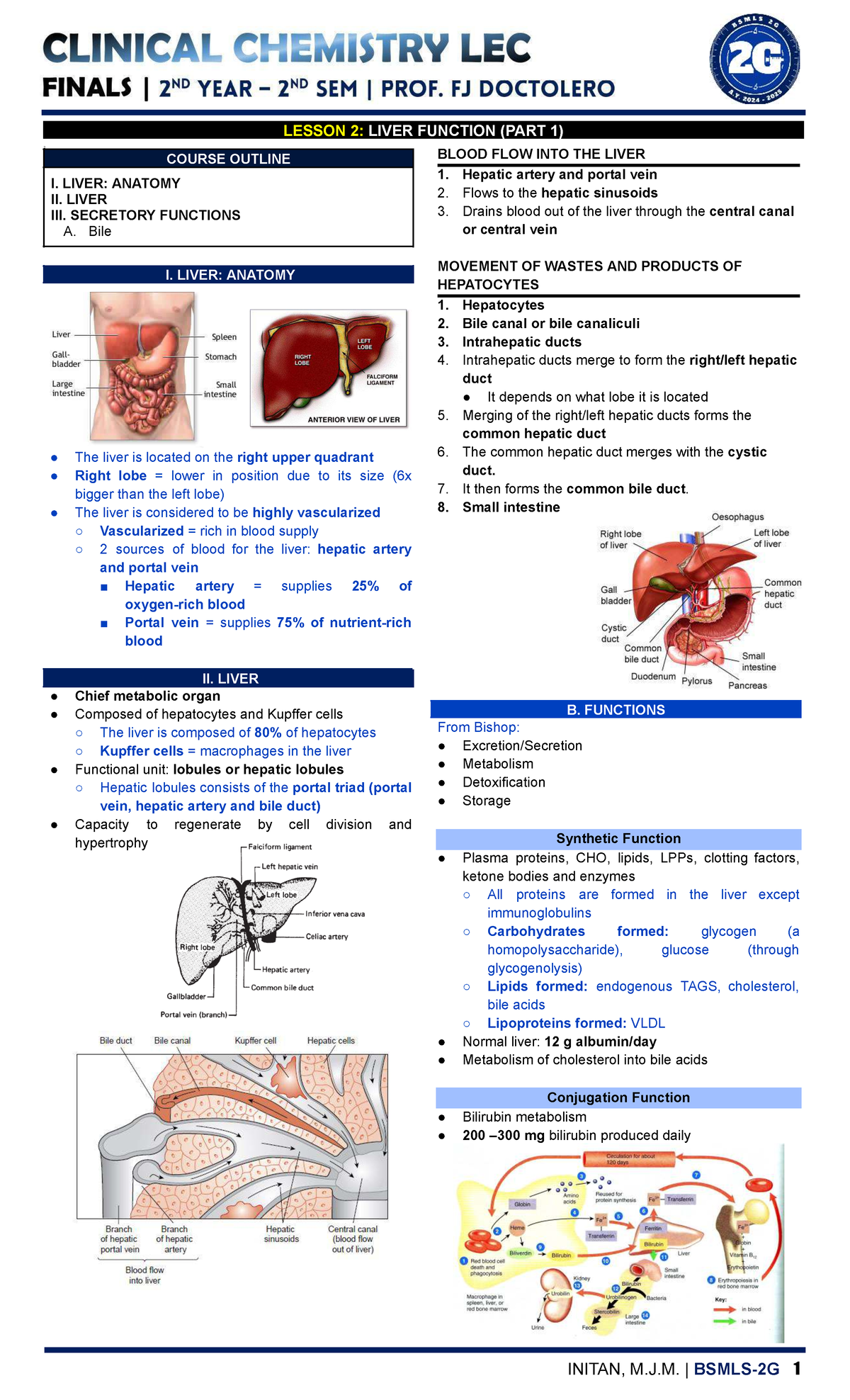 Liver Function Overview - CC LEC Lesson 2 Notes - Studocu