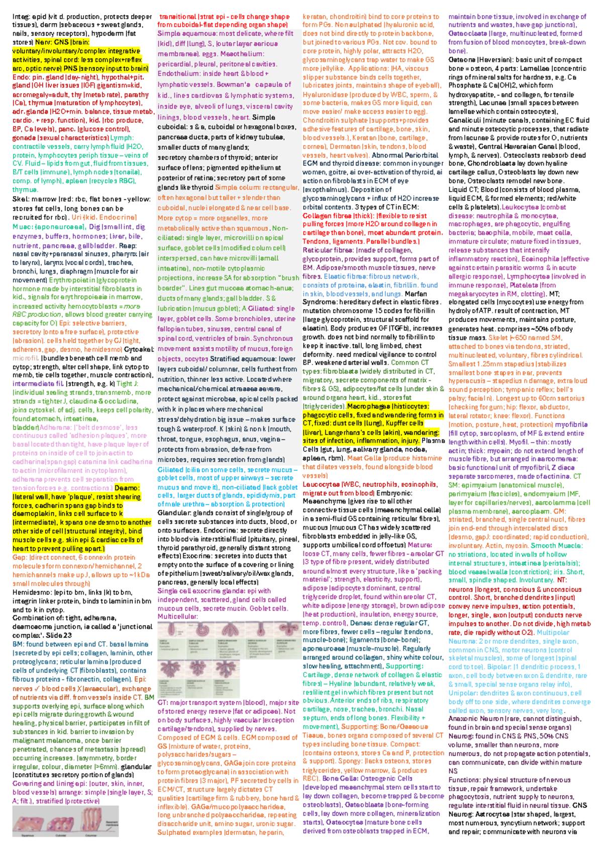 BIOSCI 107 Midterm Test - Comprehensive Summary Overview - Studocu