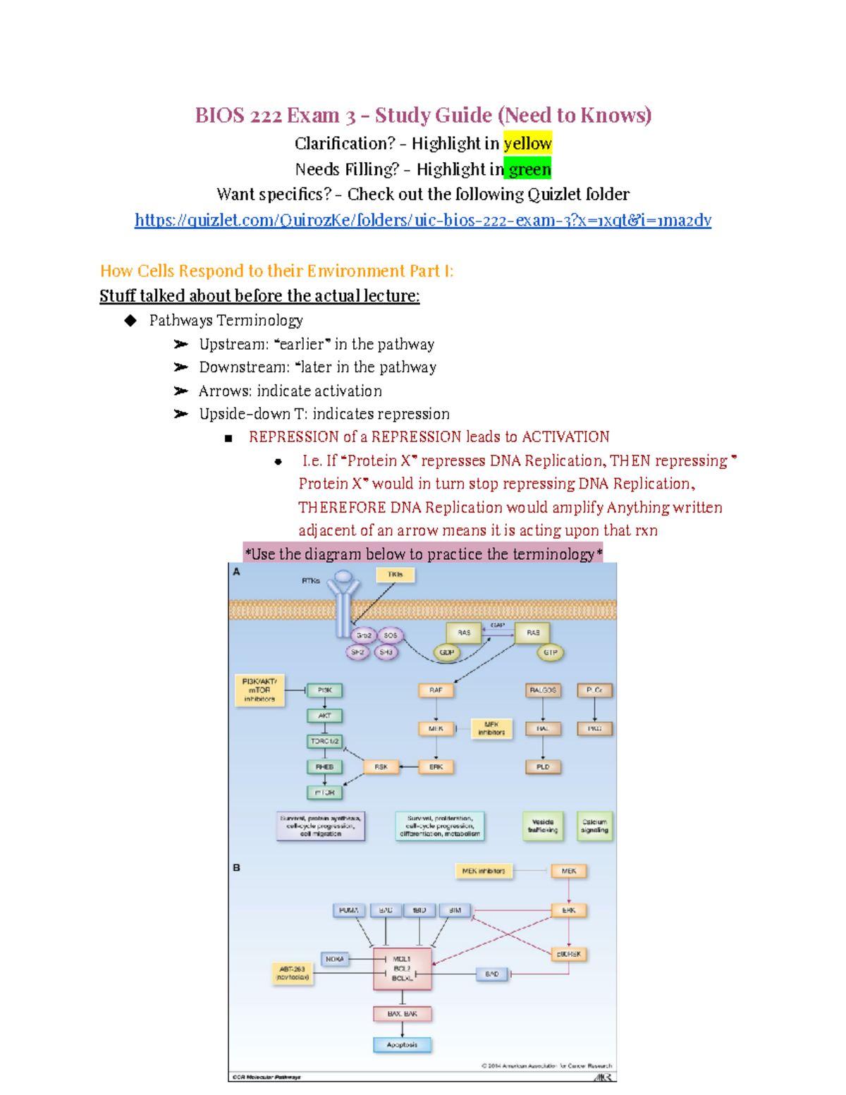 BIOS 222 Exam 3 Study Guide: Key Concepts for Success - Studocu