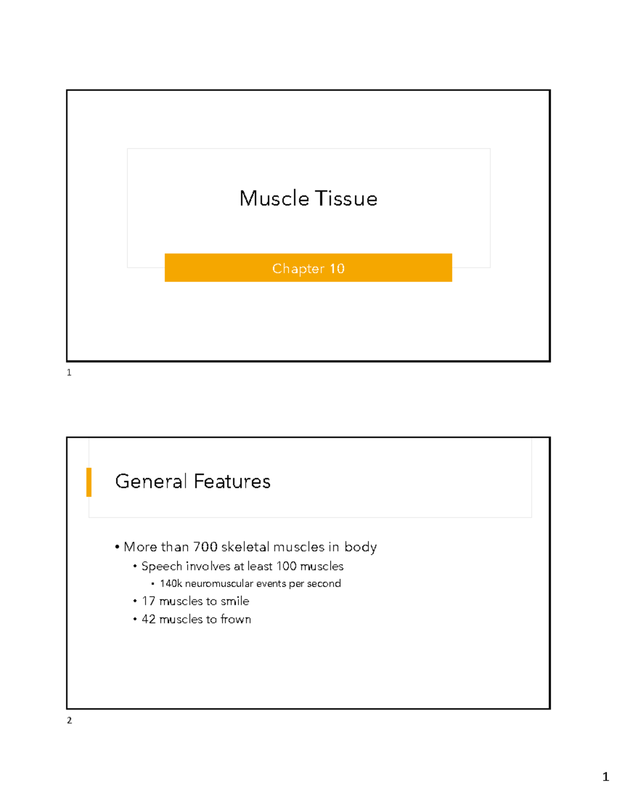 Bio 101 Midterm Exam Review: Muscle Tissue Key Concepts - Studocu