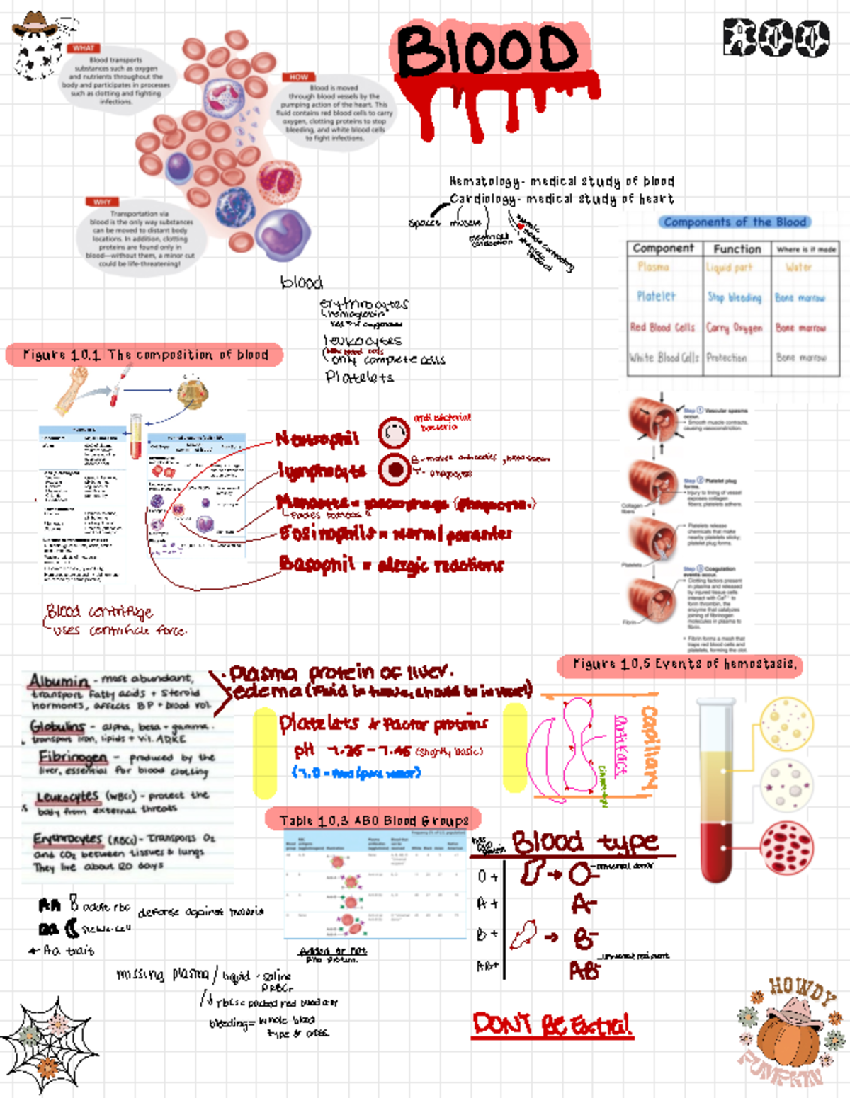Hematology Study Notes: Understanding Blood Composition & Functions ...