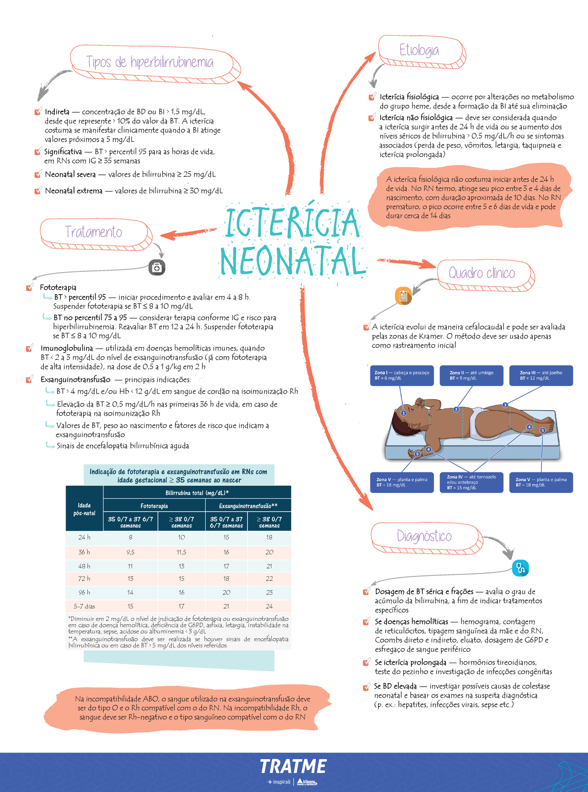 MAPA MENTAL - Icterícia Neonatal e Hiperbilirrubinemia - Studocu
