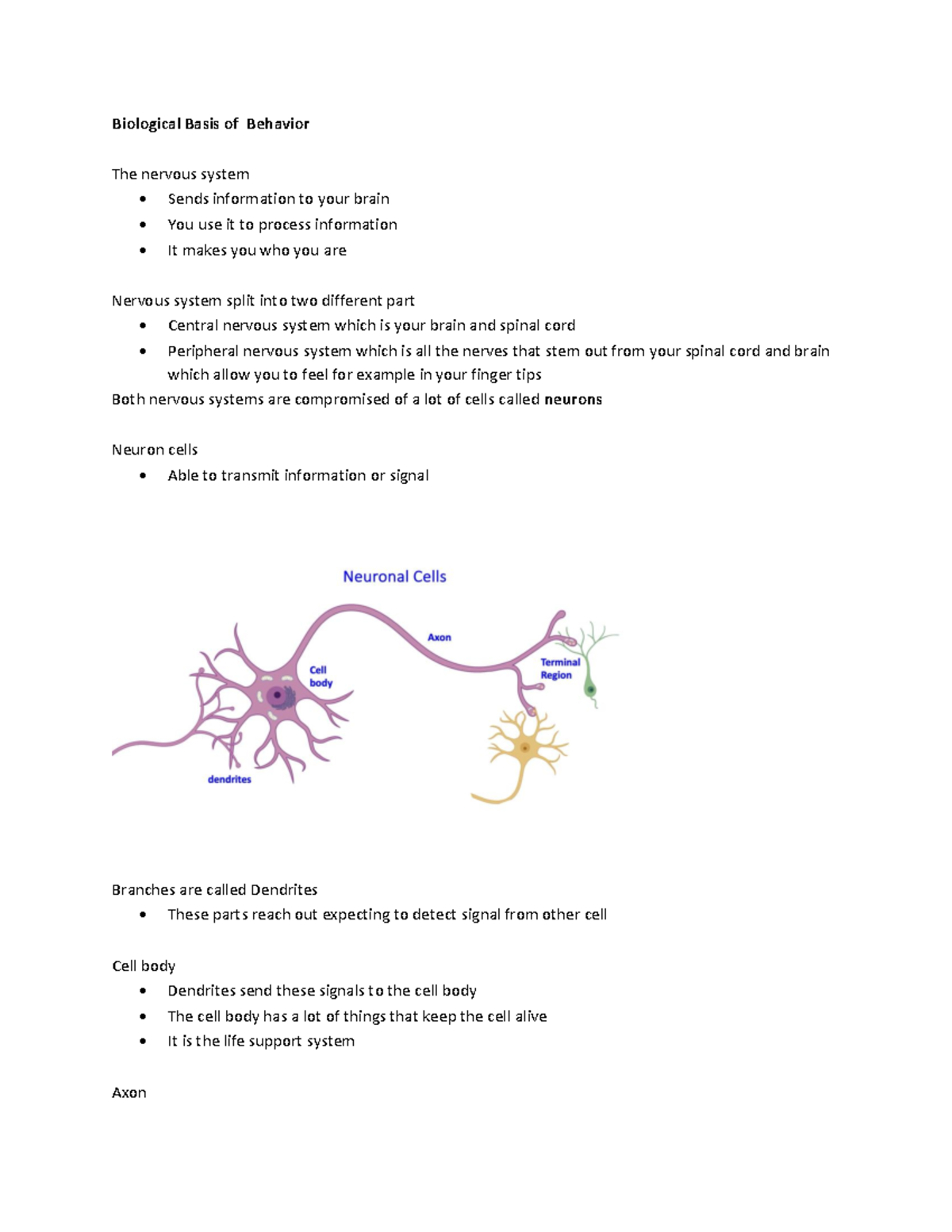 Biological Basis of Behavior: Nervous System & Neuron Function (PSY 101 ...