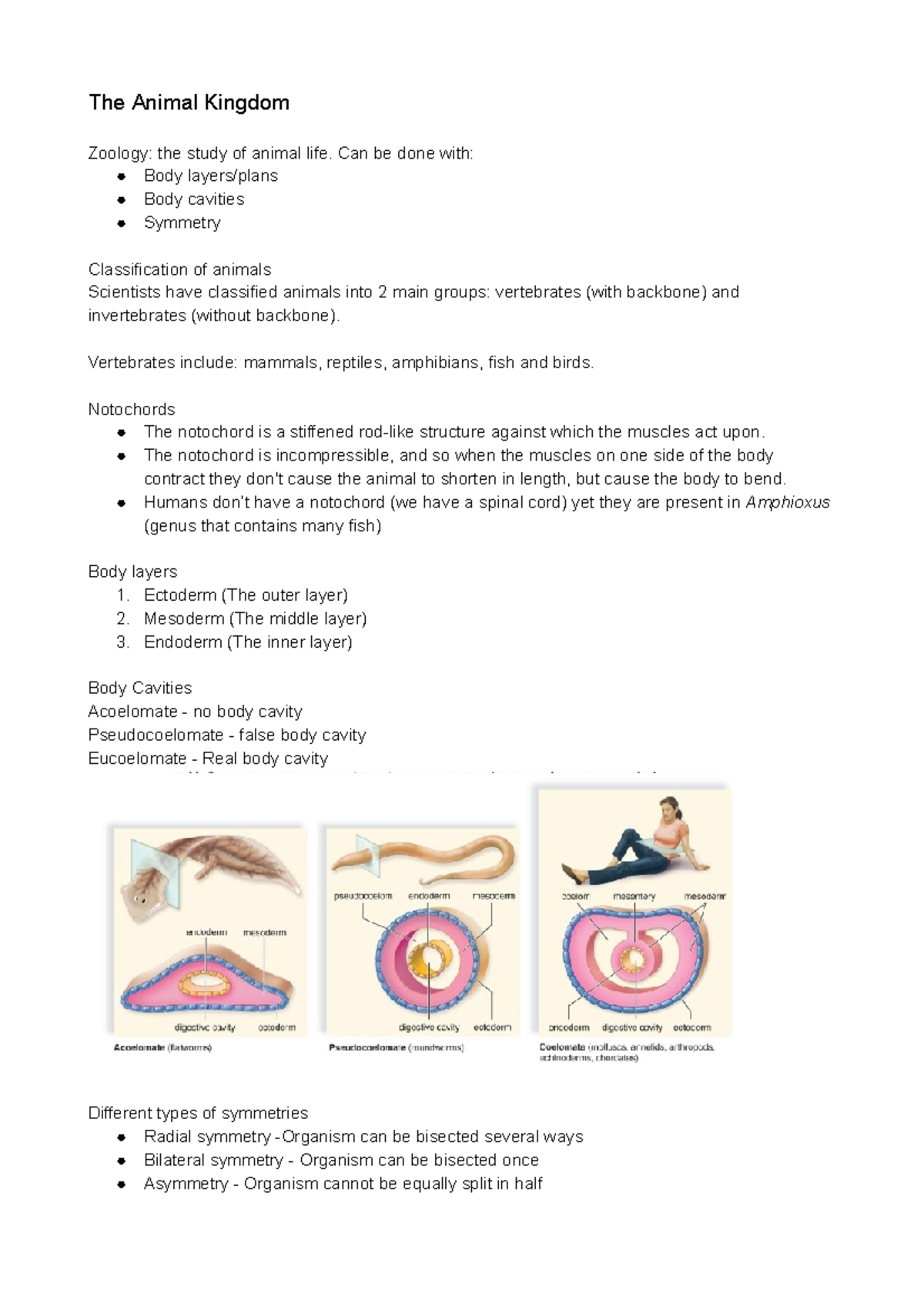 Grade 11 Biology Notes - Exploring Animal Diversity and Classification ...