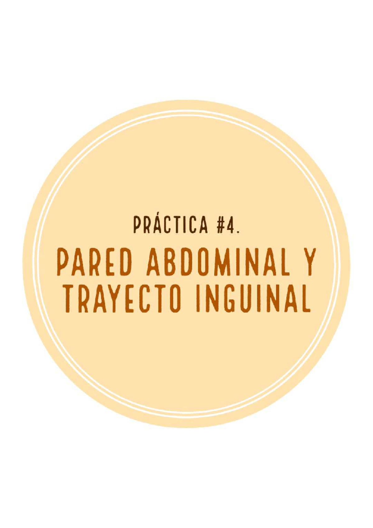 Práctica #4: Pared Abdominal y Trayecto Inguinal - Studocu