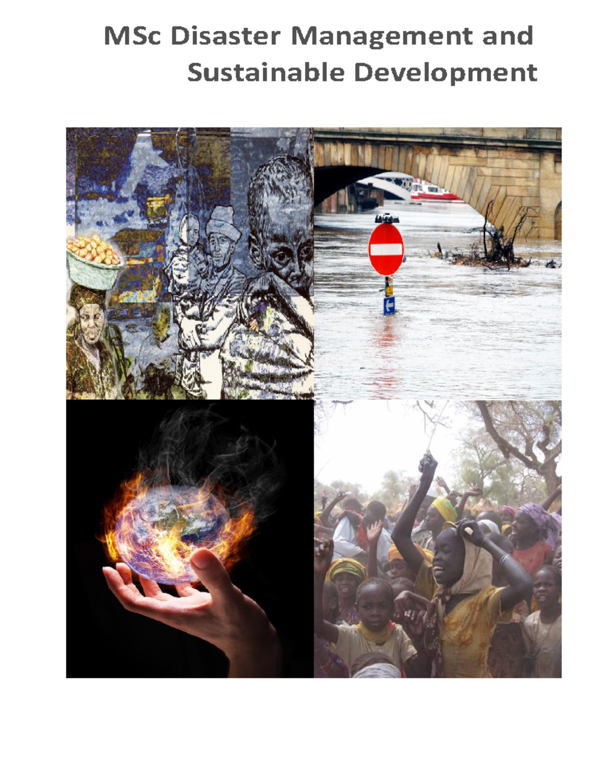 MSc Disaster Management & Sustainable Development Programme Handbook ...