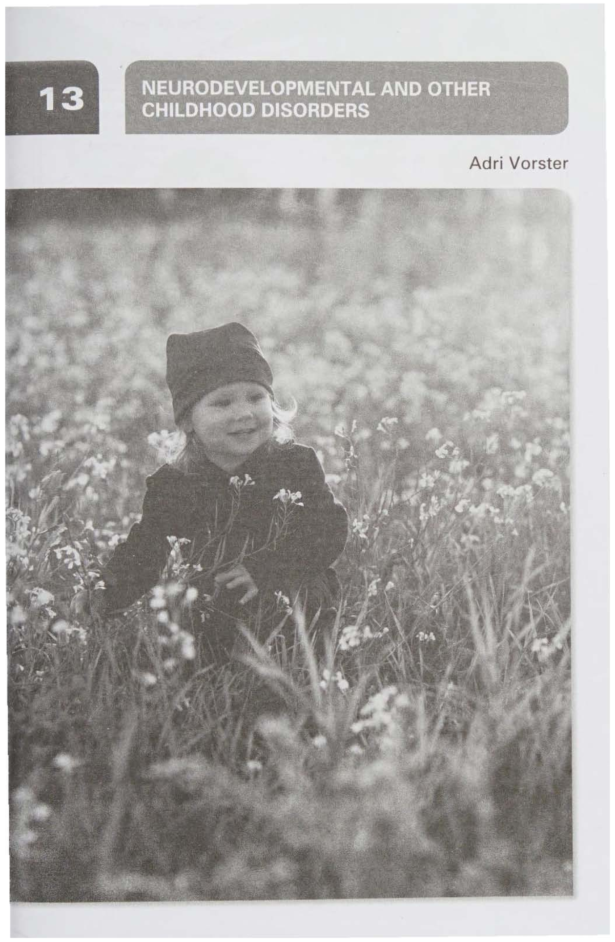 Vorster 2015 - Chapter 13 - Neurodevelopmental Disorders in Children ...
