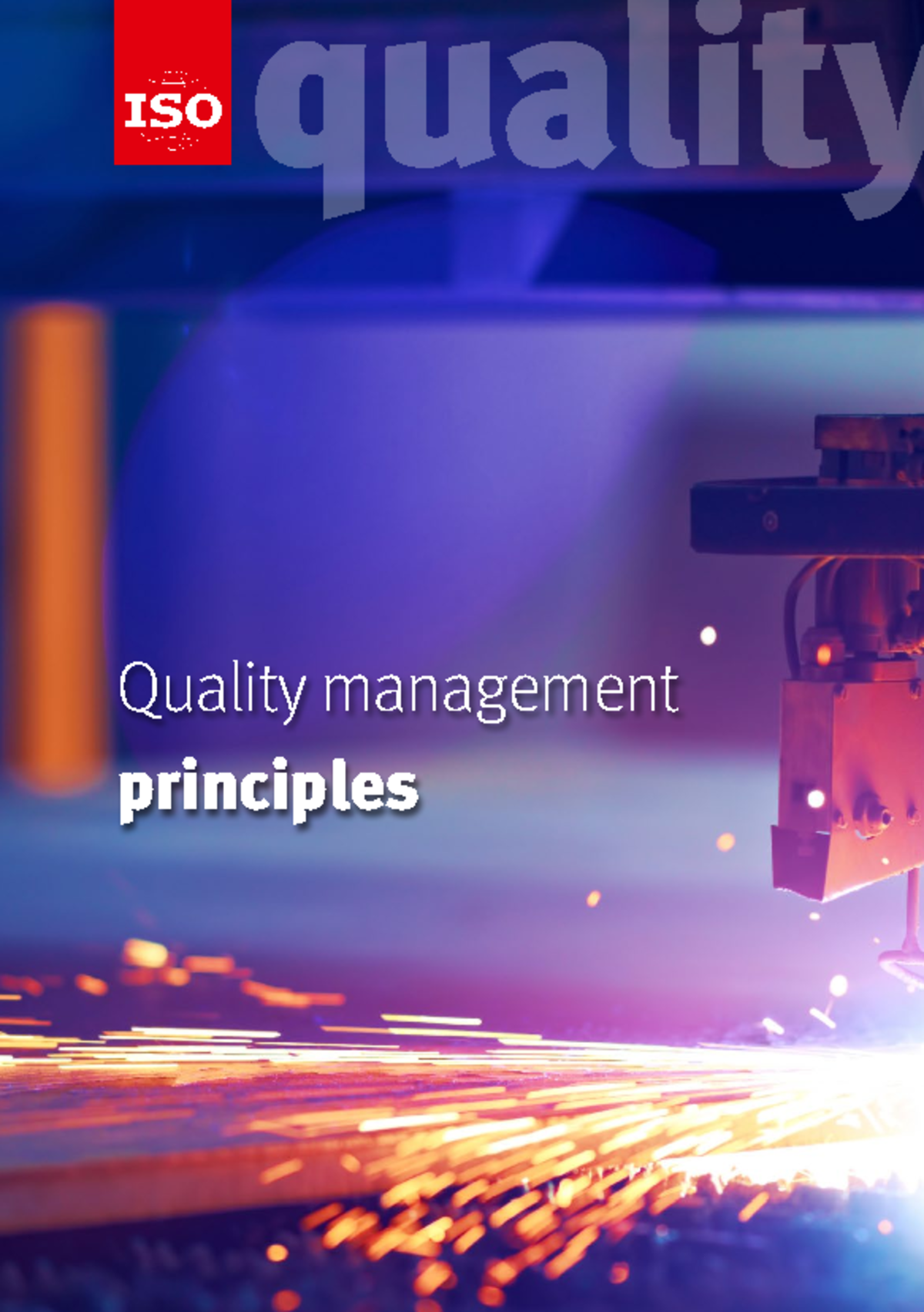 ISO 9001 QMP Principles Overview - Engineering Quality Management - Studocu