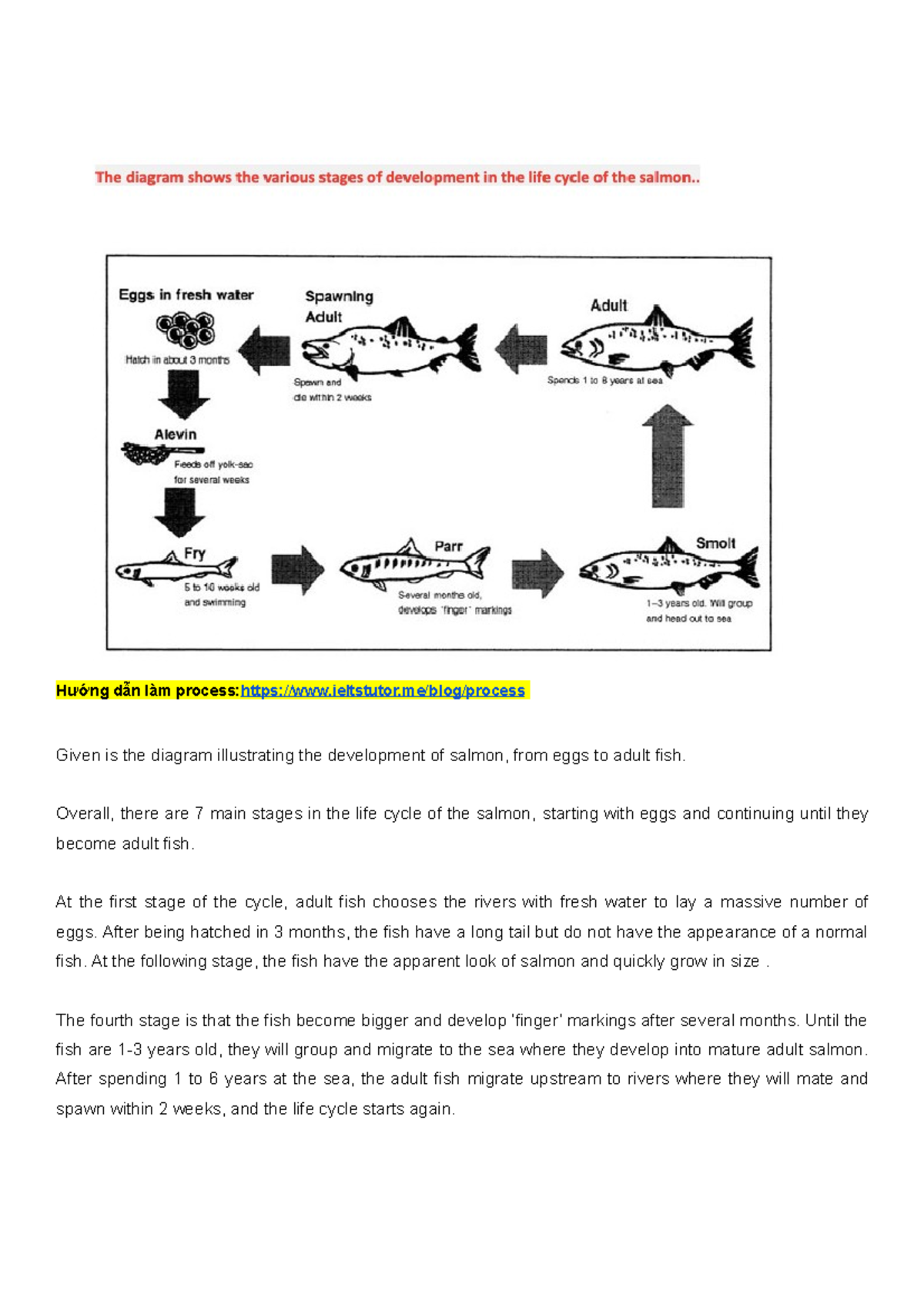Phân tích bài essay dạng process về Life cycle of a salmon Ielts ...