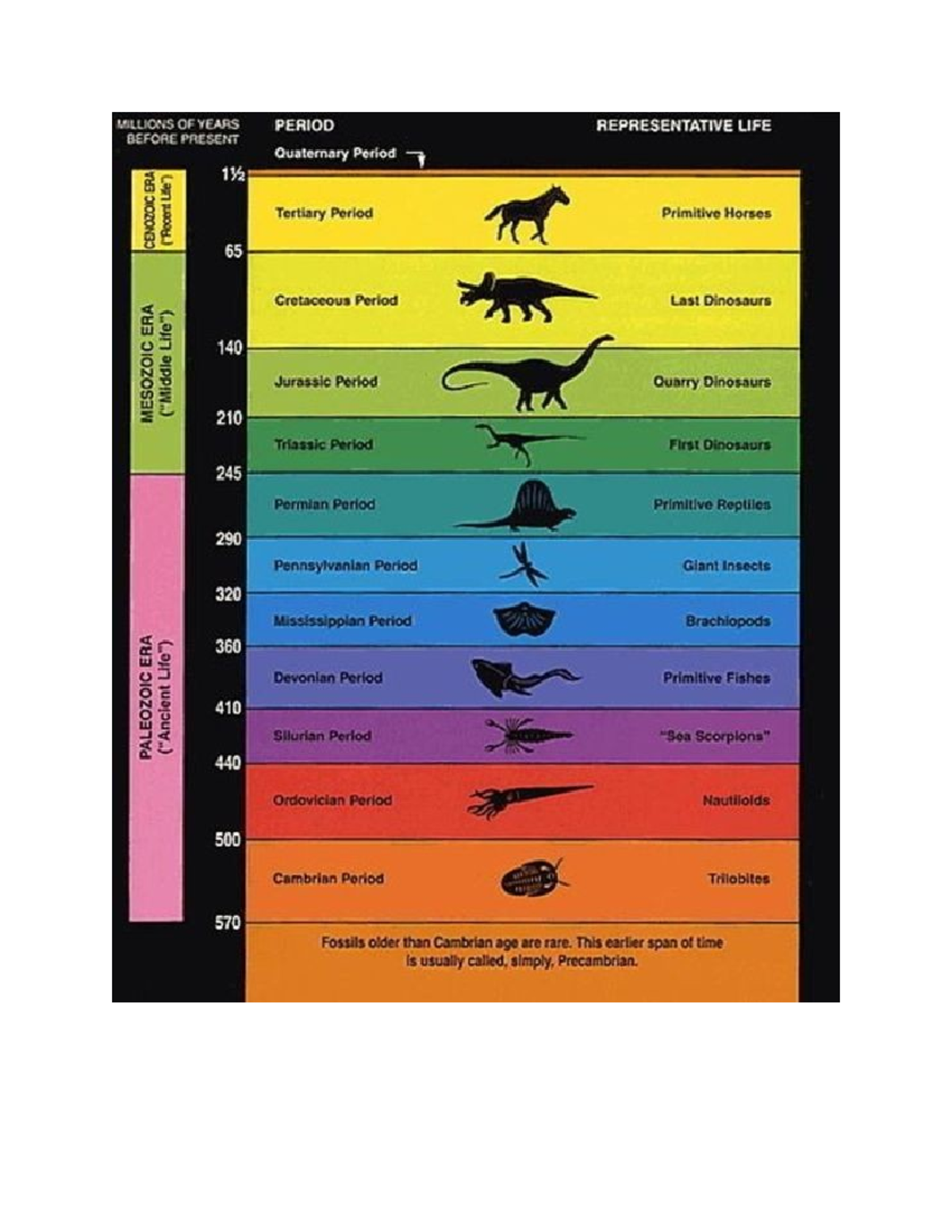 Doc4Geological Time Scale - MILLIONS OF YEARS PERIOD REPRESENTATIVE ...