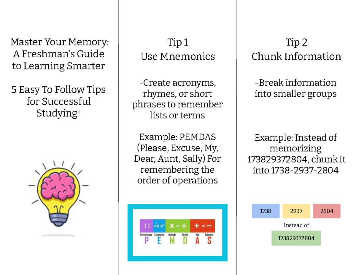 Assignment 3-3: Mastering Memory Techniques for Effective Studying ...