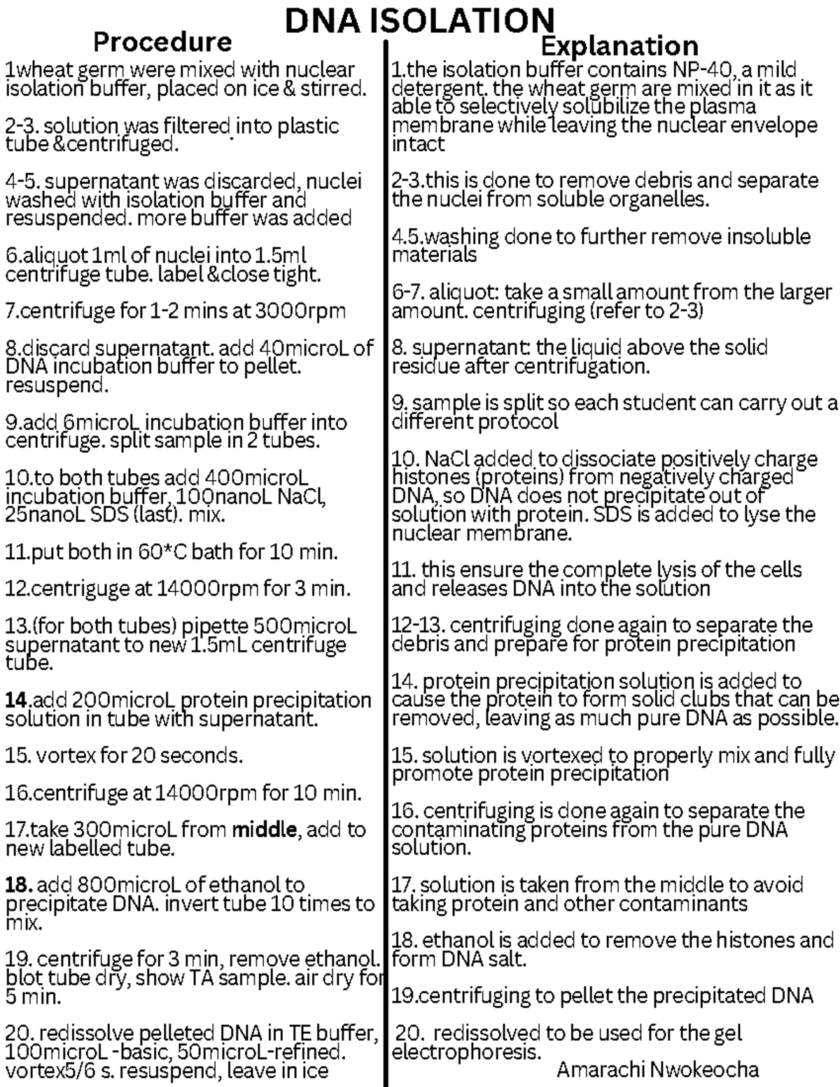 DNA Isolation Procedure Flowchart - Detailed Steps and Instructions ...