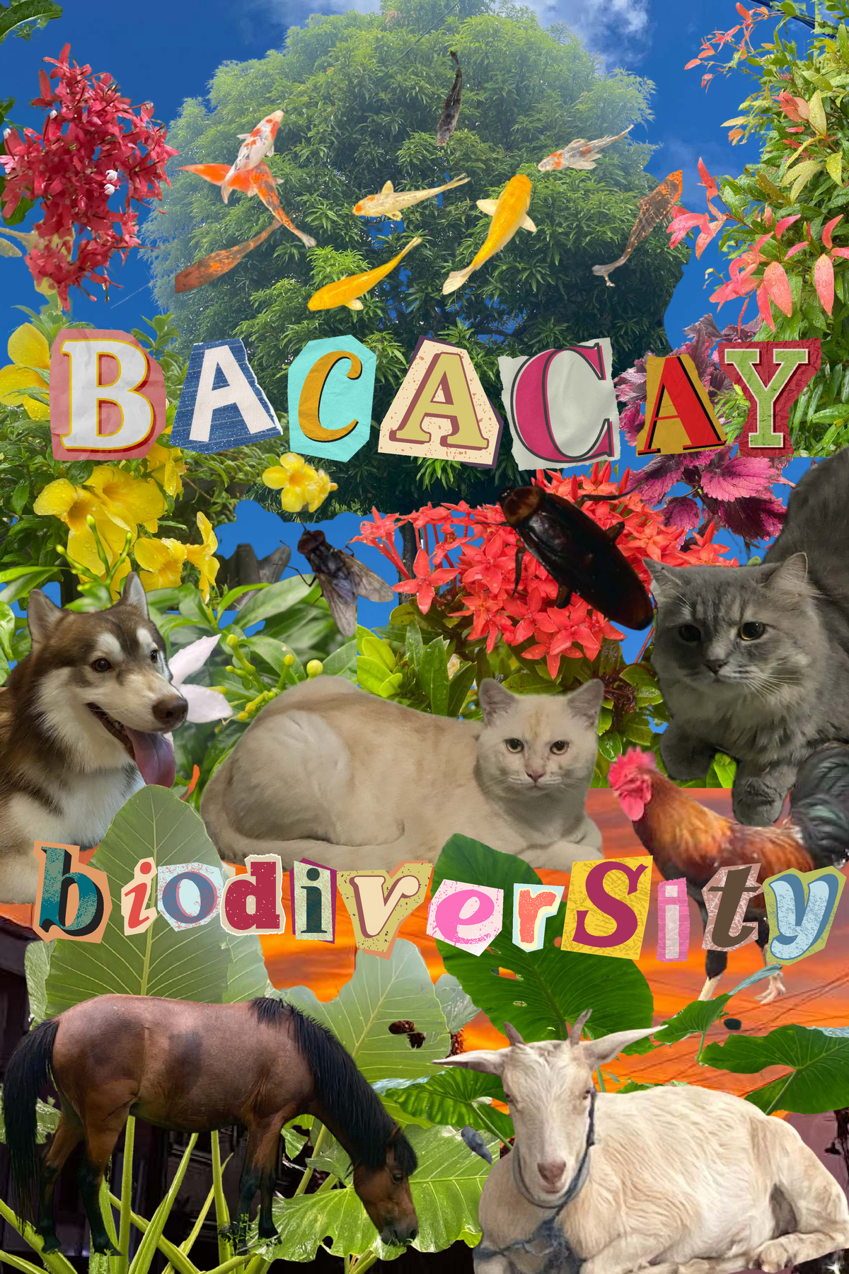 Bacacay - Activity Overview and Insights - Studocu