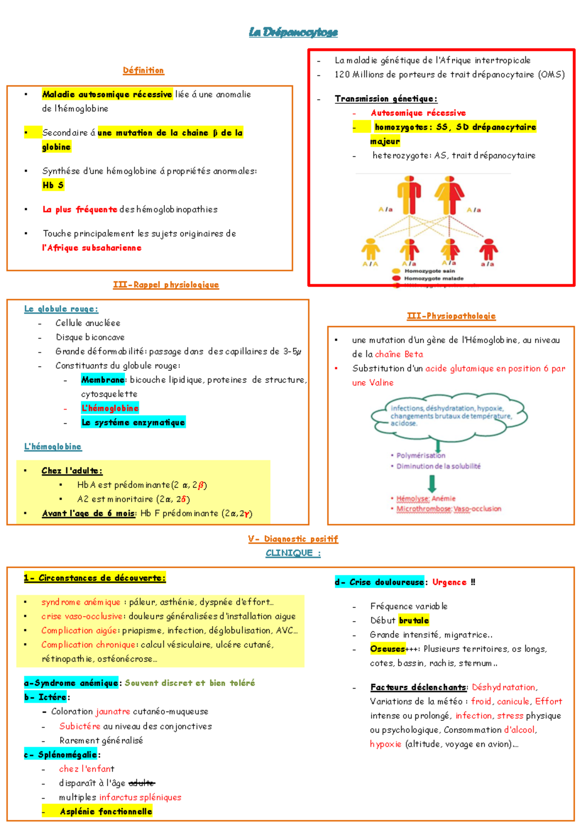 la-dr-panocytose-r-sum-des-diagnostics-et-physiopathologie-en