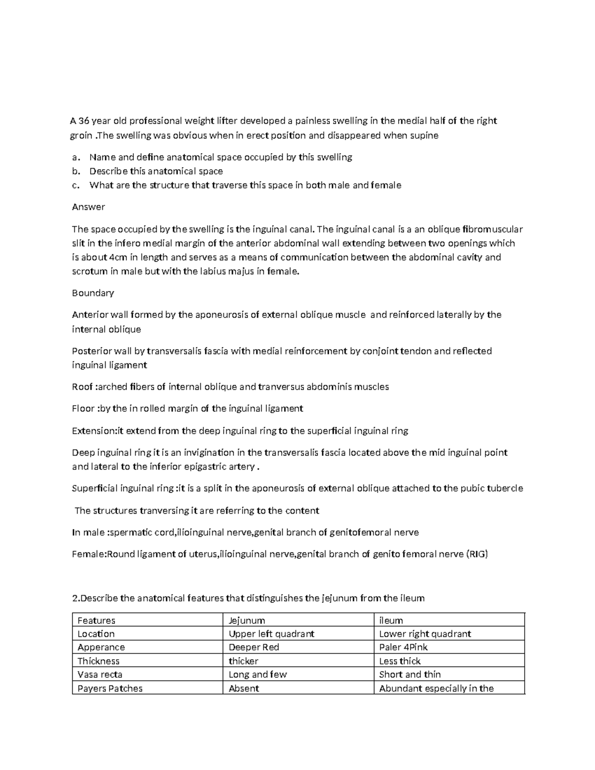 Abdomen Anatomy and Clinical Insights: A Comprehensive Study (ANAT 101 ...
