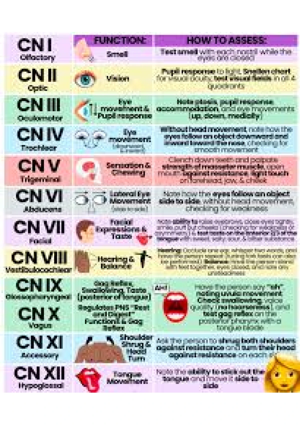 Cranial Nerves Examination Techniques - Nursing Notes - Studocu