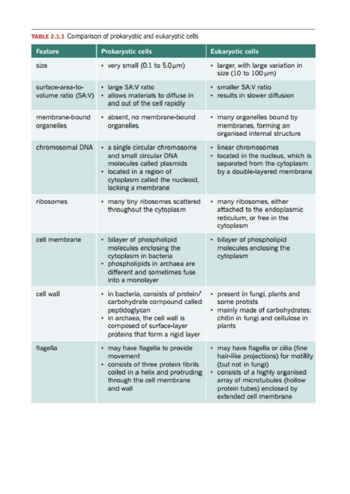 Prokaryotes and Eukaryotes - Images and Summary - TABLE 2.1 Comparison ...