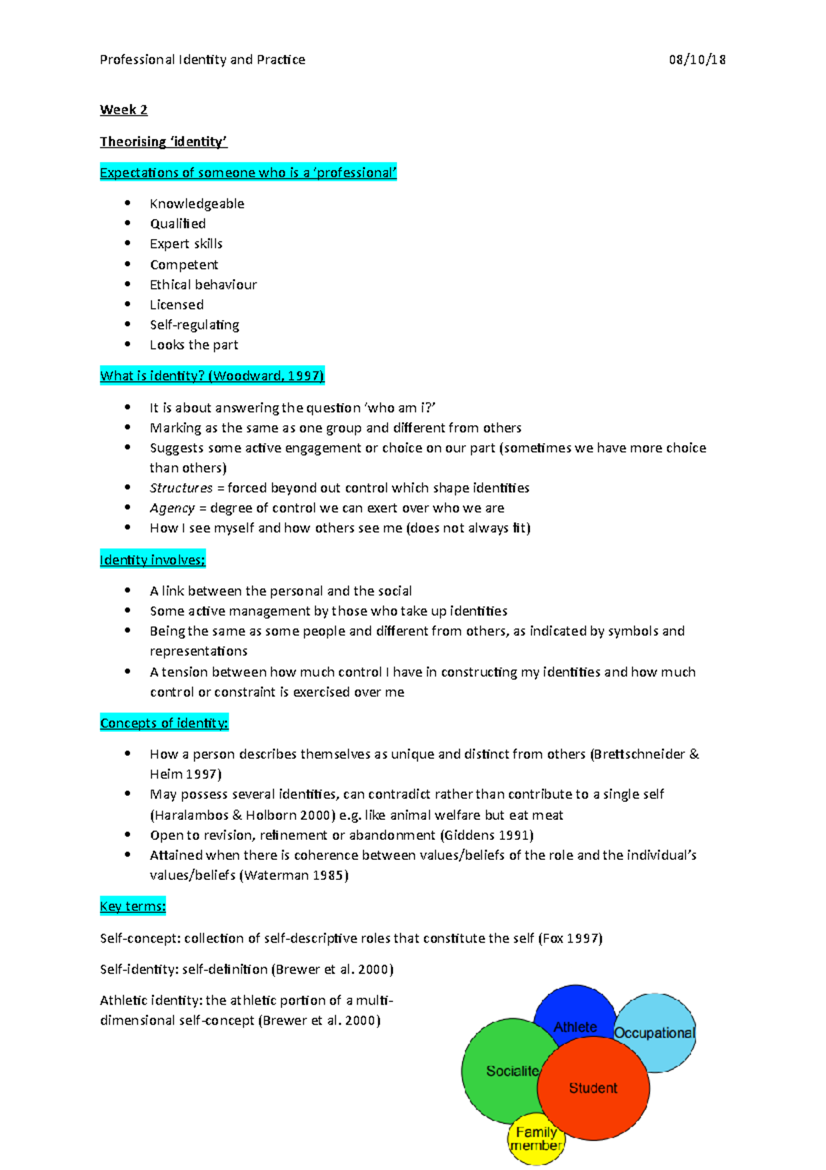 Week 2 - Theorising ‘Identity’ using sport and the Uo B as workplace ...