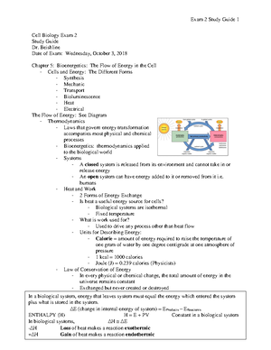 Cell Biology Final Exam Study Guide - Warning: TT: undefined function ...