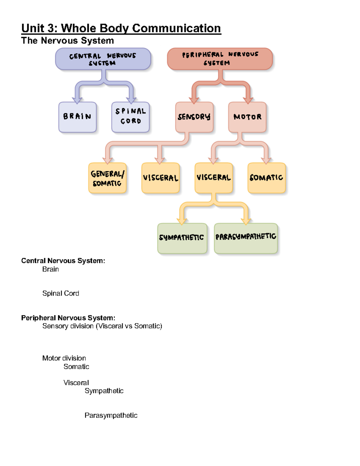 Unit 3 Notes - Unit 3: Whole Body Communication The Nervous System ...