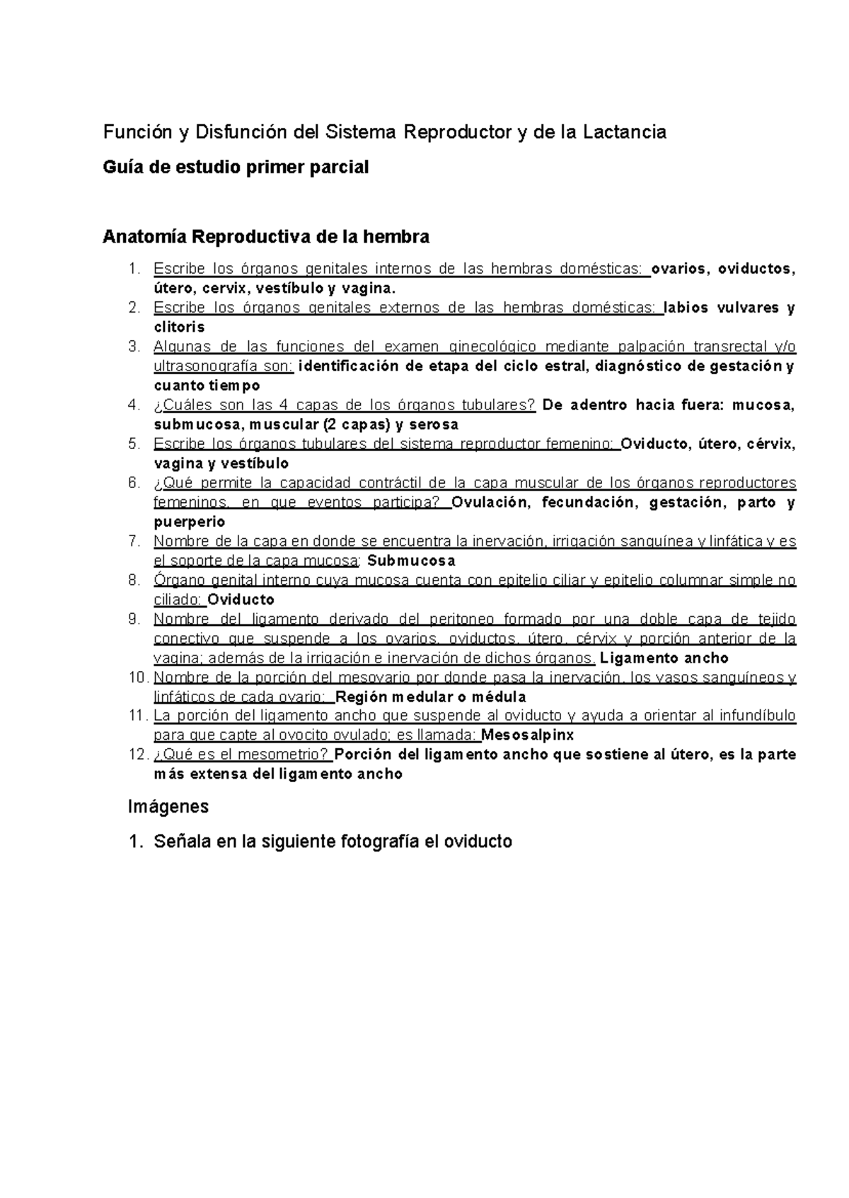 Guía de Estudio Primer Parcial: Anatomía Reproductiva (Repro 101) - Studocu