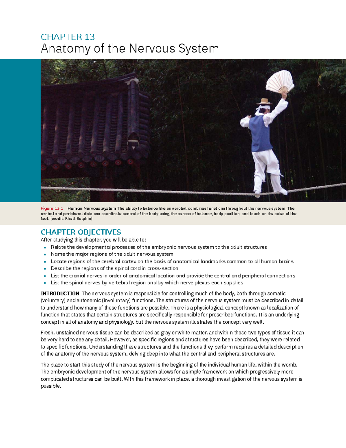 Anatomy and Physiology 2e: Chapter 13 - Overview of the Nervous System ...