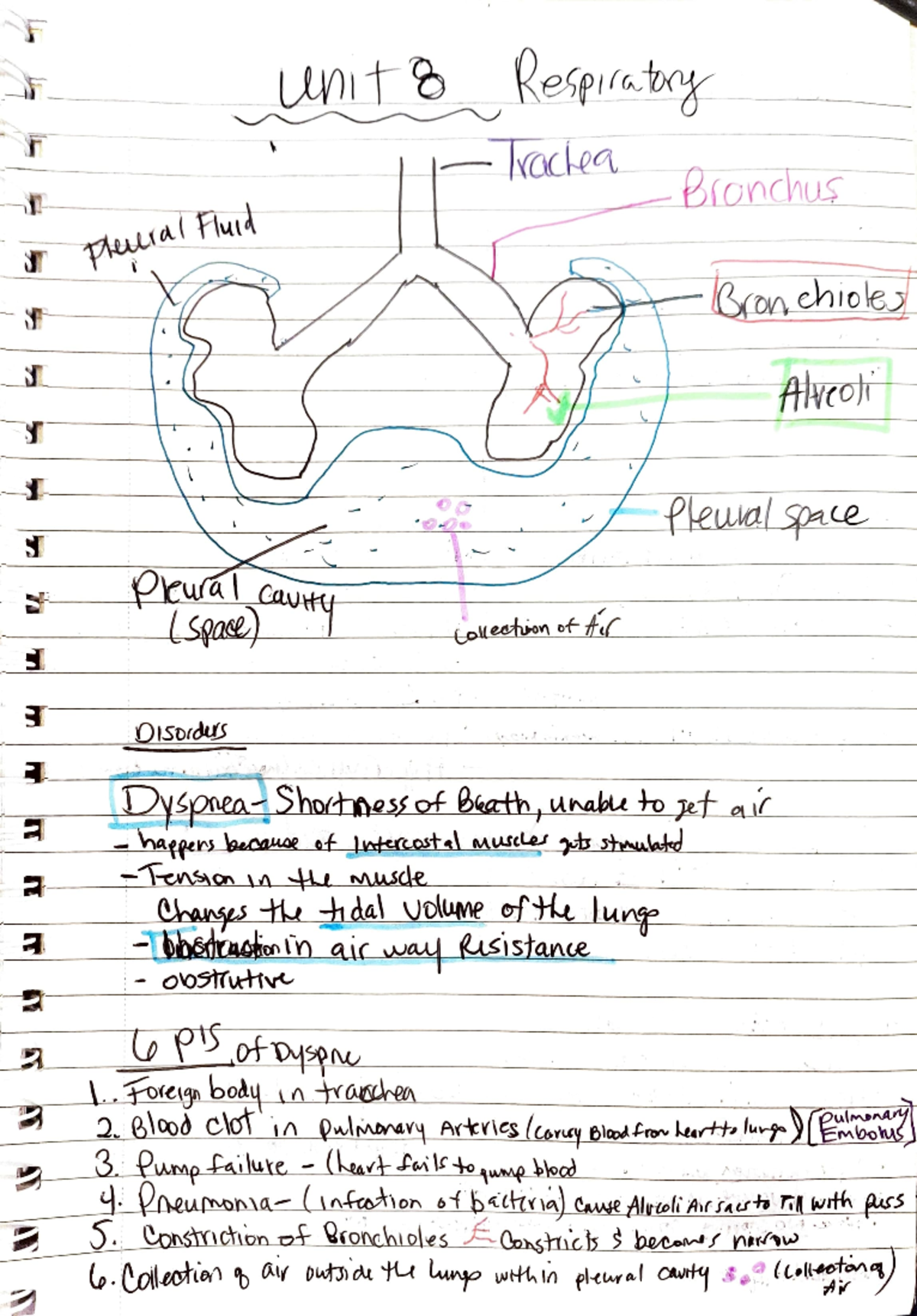 Path notes - Easier way to learn along slides for path - lualFud Prual ...
